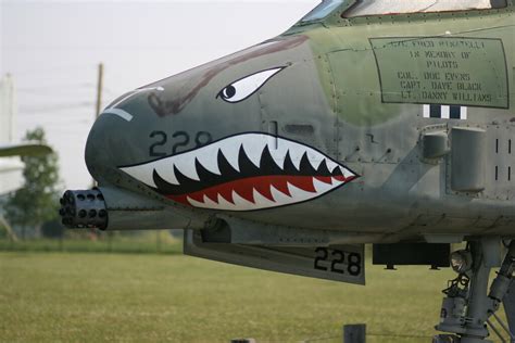 A-10 Warthog Nose Art Designs